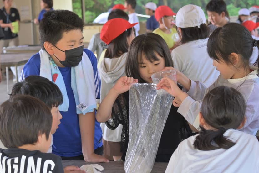 パン作り体験の様子