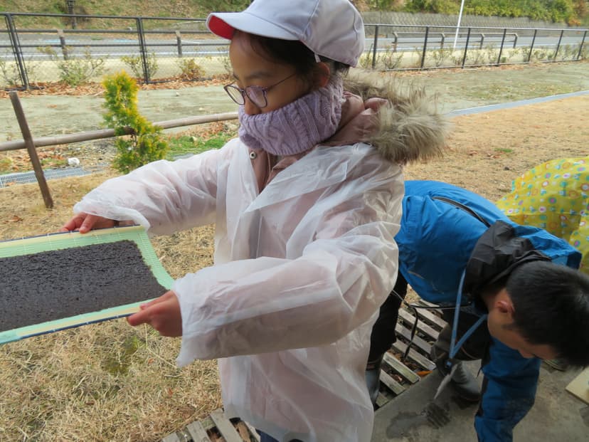 海苔すき体験の様子